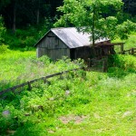 cabin1