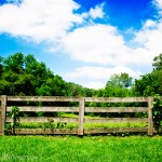 woodenfence2