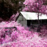 surrealcabin