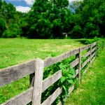 woodenfence1